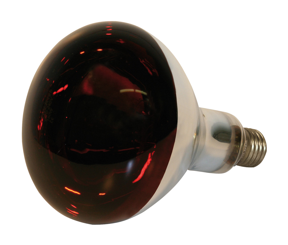 Hartglas-Infrarotlampe KERBL rot