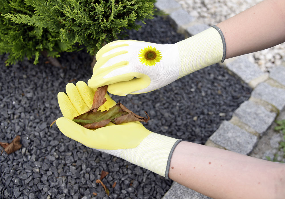 Anwendungsbeispiel Gartenhandschuh Garden Care in gelb