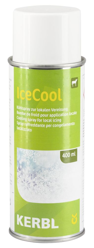 Kühlspray IceCool