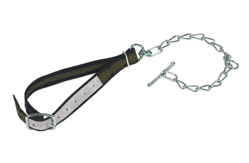 Jungvieh-Anbindung mit Halsband 100 x 4 cm und Kettenteil